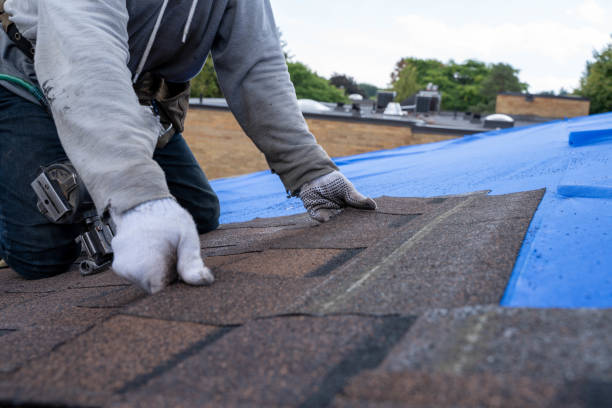 Best Storm Damage Roof Repair  in Vander, NC